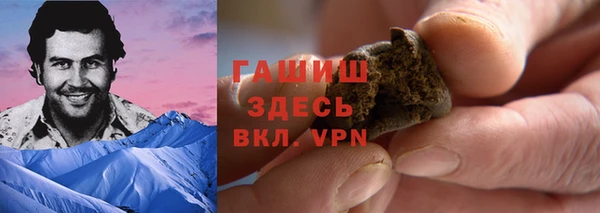 ALPHA PVP Гусев