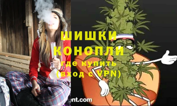 ALPHA PVP Гусев